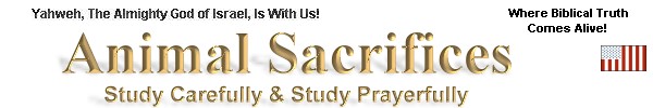 Audio Sermons